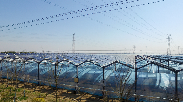 优德88·(中国区)官方网站