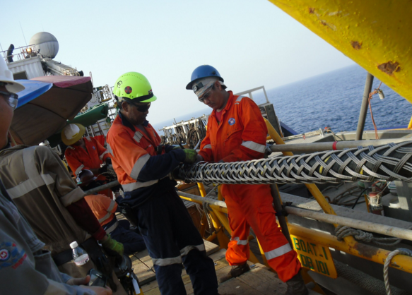 优德88·(中国区)官方网站