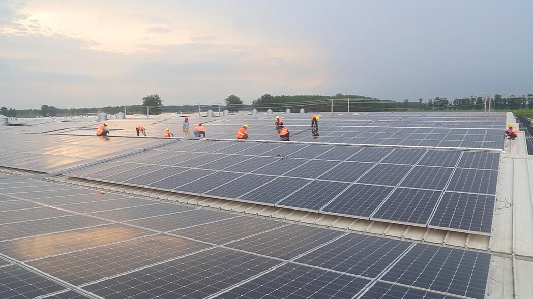 优德88·(中国区)官方网站