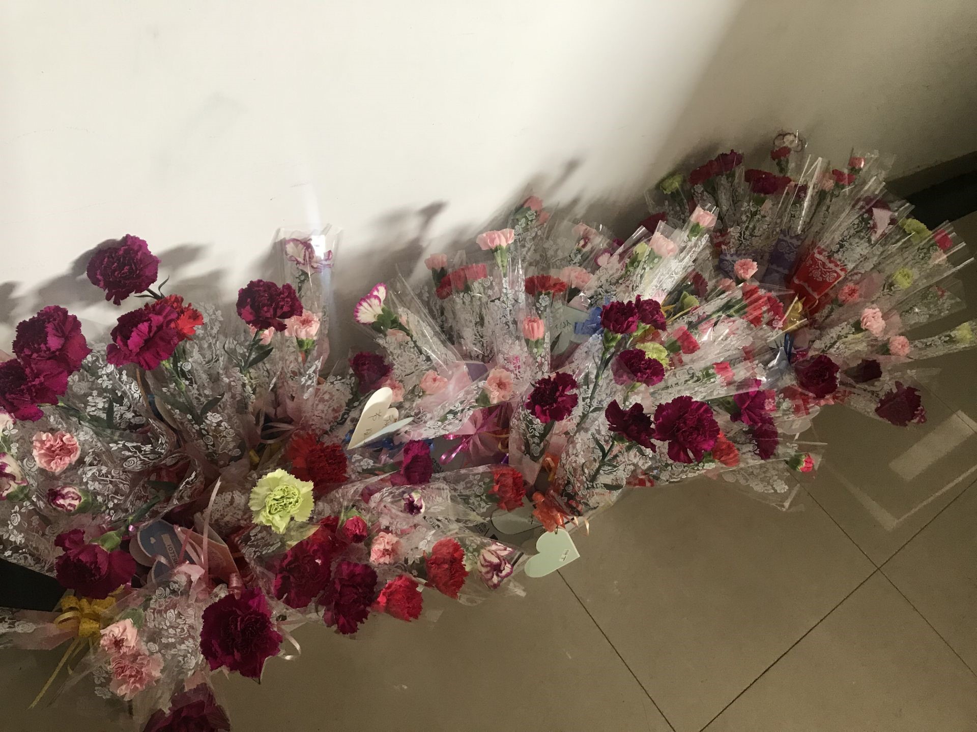 优德88·(中国区)官方网站